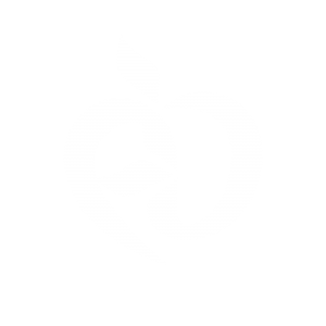 دکتر ماندانا داودی